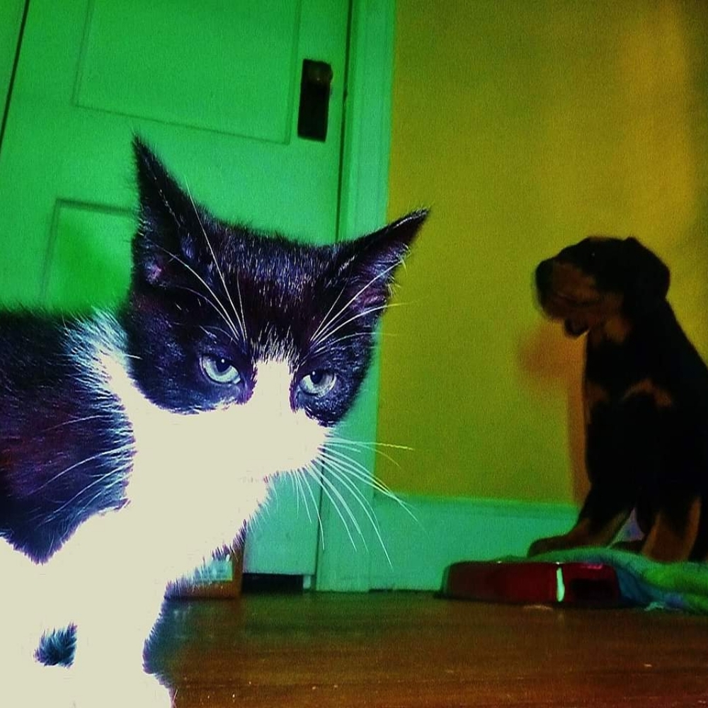 Meet your Posher, Ric - Picture 2 of 5